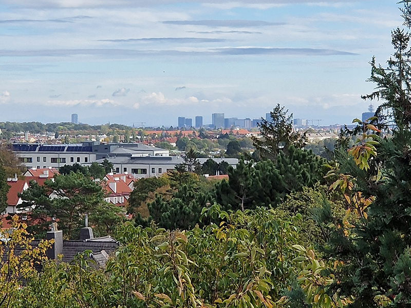Doktor-Schober-Straße